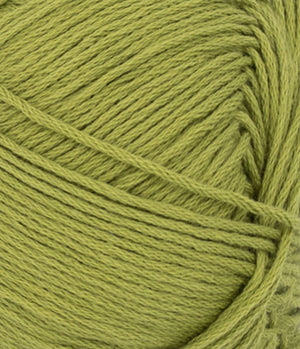 9564 Matcha - Mandarin Petit